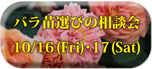 2015バラ相談会サイドバー用アイコン