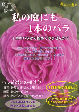 バラ,薔薇,ばら,ローズ,相談会,グレイスオブガーデン,苗